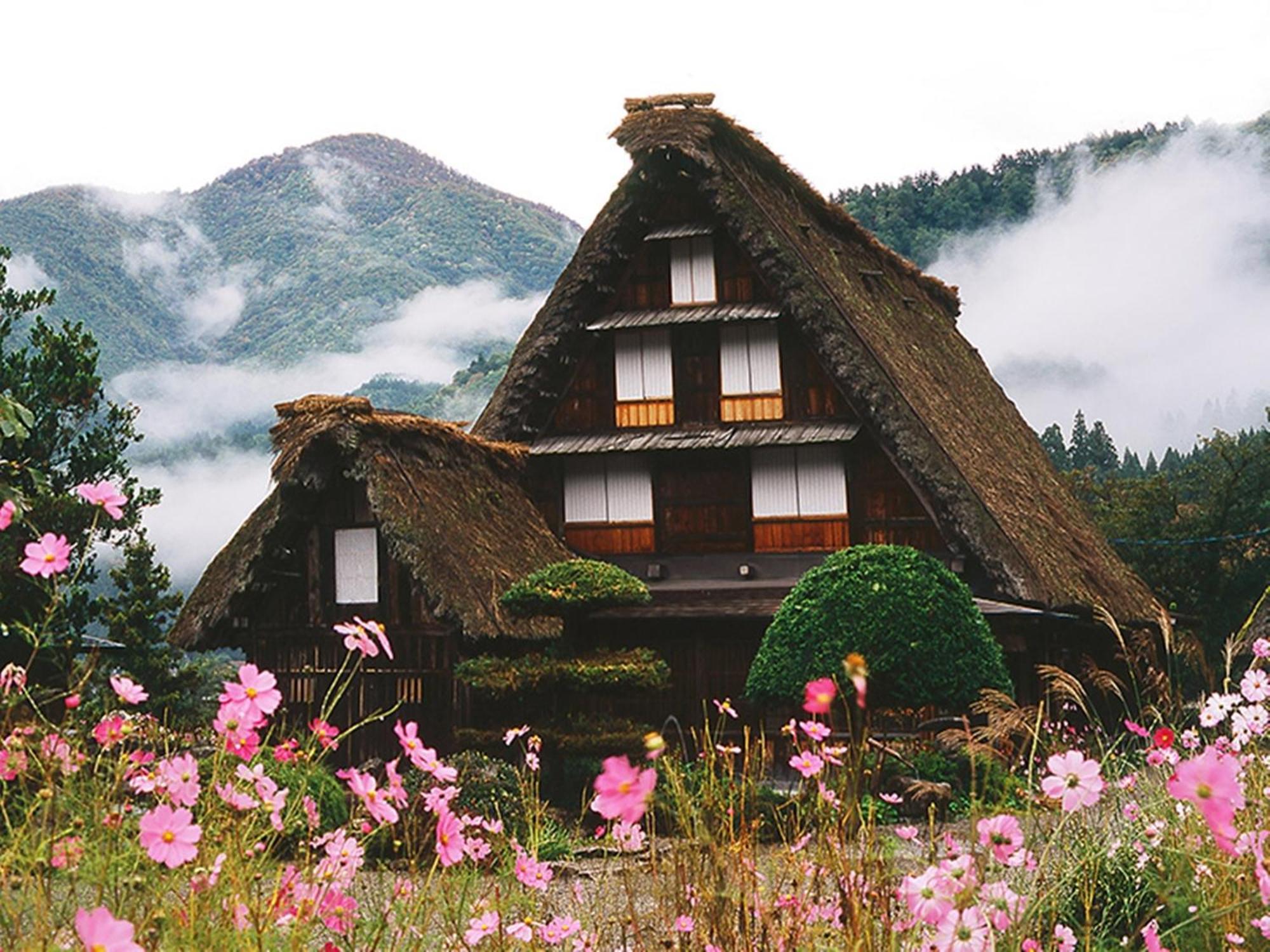 Nagomiya Hirugano *